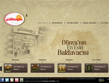 Tablet Screenshot of elmacipazarigulluoglu.com